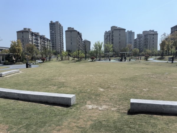 东启网 公园露营区：天幕越来越大，风绳屡屡绊人……有公园开始禁止，有道理吗？