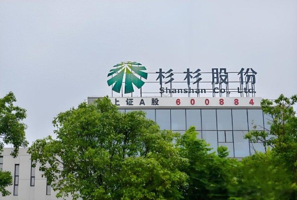 策略大赢家 股权清零, 杉杉长子输给继母? 豪门内斗背后的商业“迷局”