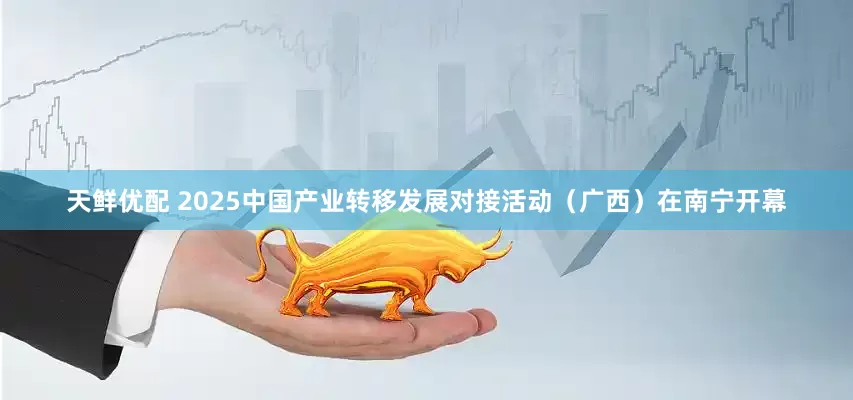 天鲜优配 2025中国产业转移发展对接活动（广西）在南宁开幕