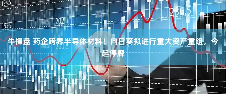 牛操盘 药企跨界半导体材料！向日葵拟进行重大资产重组，今起停牌